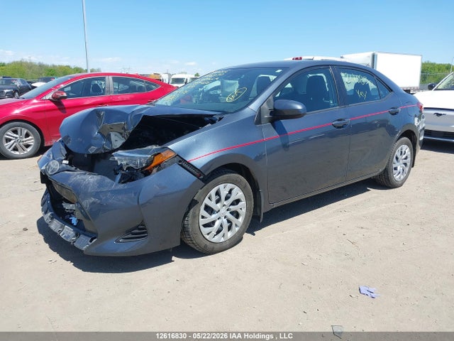 2019 Toyota Corolla Le მანქანა იყიდება აუქციონზე, vin: 2T1BURHE1KC220466, აუქციონის ნომერი: 12616830