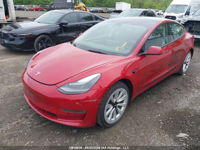 2023 Tesla Model 3 Rwd მანქანა იყიდება აუქციონზე, vin: 5YJ3E1EA4PF433645, აუქციონის ნომერი: 12616836