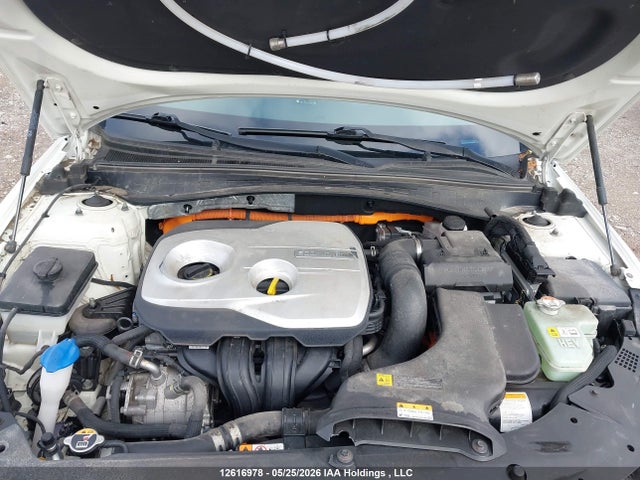 2020 Kia Optima Hybrid Lx მანქანა იყიდება აუქციონზე, vin: KNAGT4LE2L5042646, აუქციონის ნომერი: 12616978