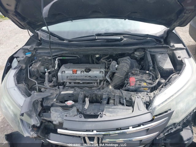 Продаж на аукціоні авто 2014 Honda Cr-v Lx, vin: 2HKRM4H36EH134569, номер лоту: 12616980