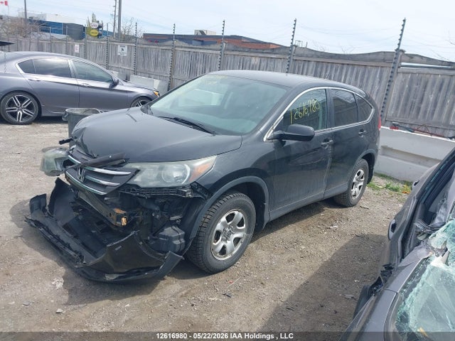 Продаж на аукціоні авто 2014 Honda Cr-v Lx, vin: 2HKRM4H36EH134569, номер лоту: 12616980