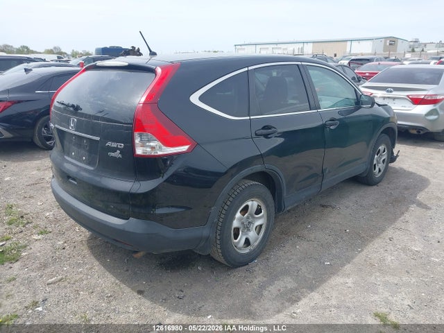 Продаж на аукціоні авто 2014 Honda Cr-v Lx, vin: 2HKRM4H36EH134569, номер лоту: 12616980