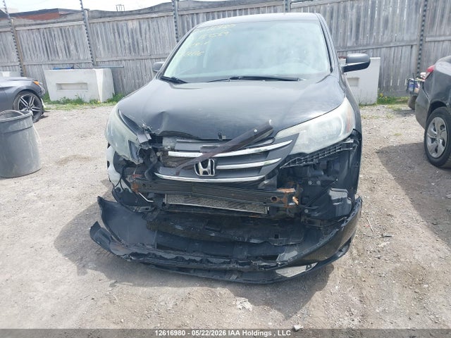 Продаж на аукціоні авто 2014 Honda Cr-v Lx, vin: 2HKRM4H36EH134569, номер лоту: 12616980