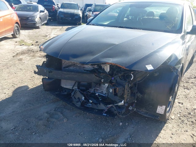 Продаж на аукціоні авто 2025 Hyundai Elantra, vin: KMHLN4DG6SU029118, номер лоту: 12616985