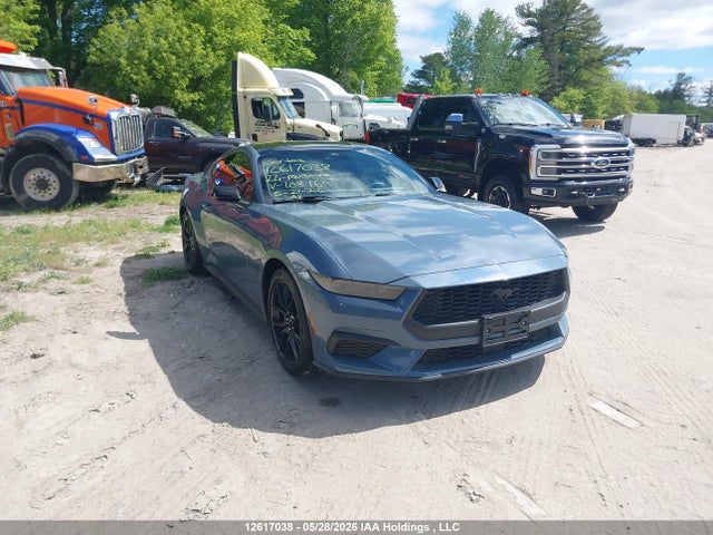 Ford Mustang 2024 1FA6P8TH3R5108169 main image