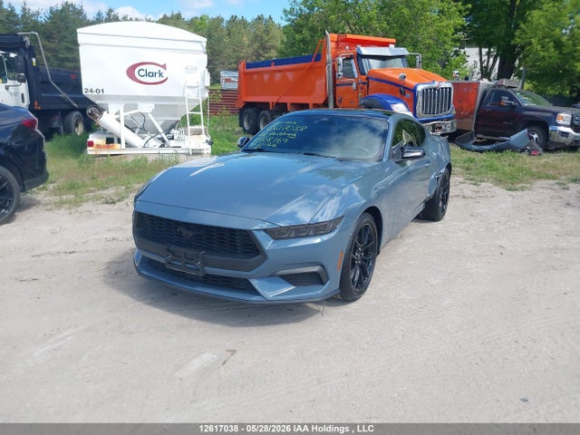 Ford Mustang 2024 1FA6P8TH3R5108169 Image 2