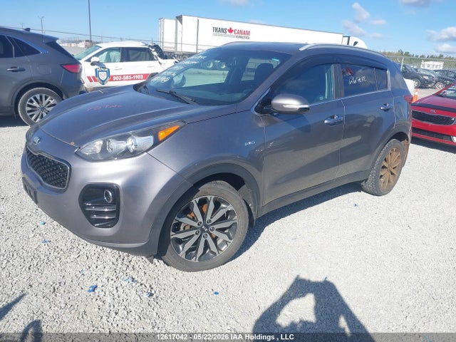 12617042 :رقم المزاد ، KNDPNCAC7H7144514 vin ، 2017 Kia Sportage Ex/ex Premium/ex Tech مزاد بيع
