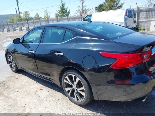 1N4AA6AP4GC413361 Nissan Maxima