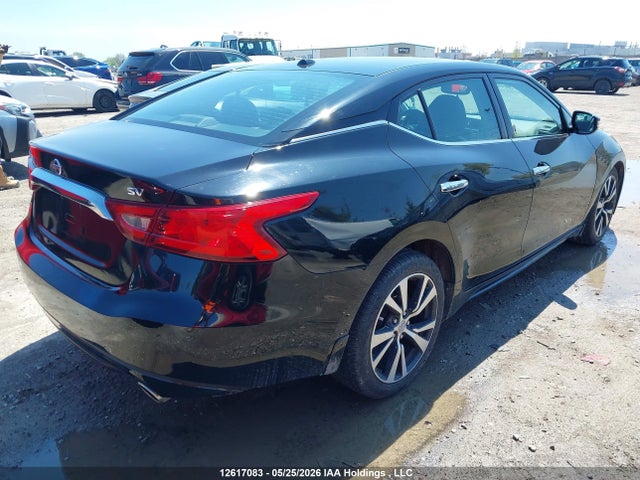 1N4AA6AP4GC413361 Nissan Maxima