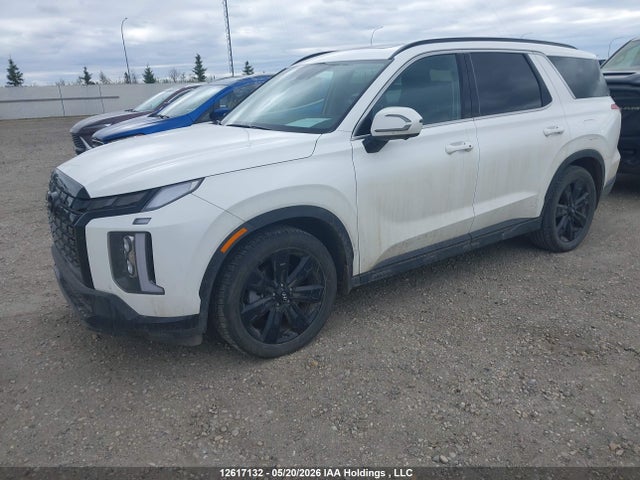 Продаж на аукціоні авто 2025 Hyundai Palisade Xrt, vin: KM8R3DGE5SU813140, номер лоту: 12617132