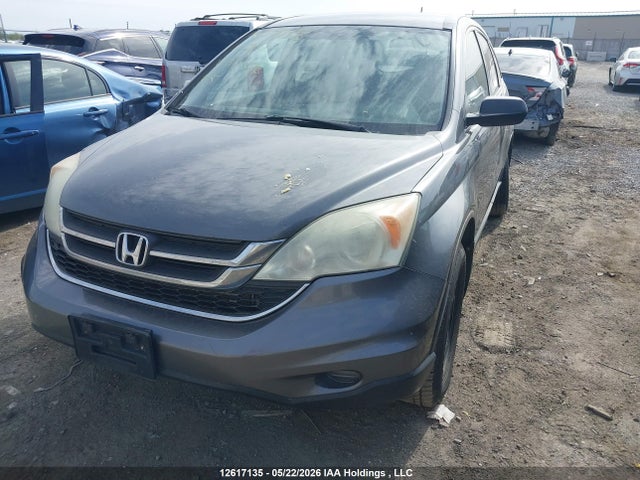 2010 Honda Cr-v Lx მანქანა იყიდება აუქციონზე, vin: 5J6RE4H37AL810850, აუქციონის ნომერი: 12617135