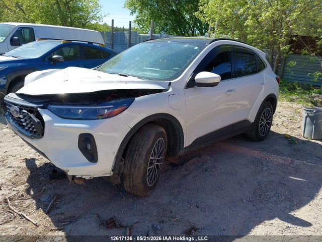 Ford Escape 2024 1FMCU0E13RUB41293 Image 2