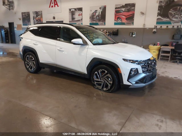 Продаж на аукціоні авто 2025 Hyundai Tucson Hybrid Ultimate, vin: KM8JCDD19SU286590, номер лоту: 12617138