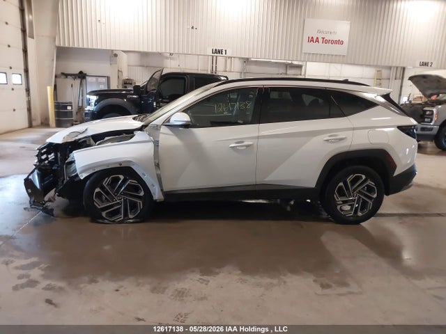 Продаж на аукціоні авто 2025 Hyundai Tucson Hybrid Ultimate, vin: KM8JCDD19SU286590, номер лоту: 12617138