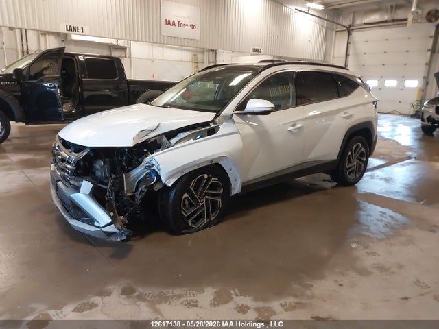 Продаж на аукціоні авто 2025 Hyundai Tucson Hybrid Ultimate, vin: KM8JCDD19SU286590, номер лоту: 12617138