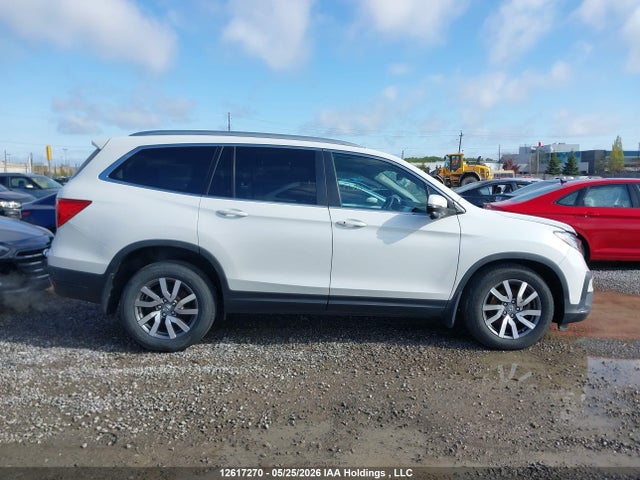 Продаж на аукціоні авто 2021 Honda Pilot Ex-l Navi, vin: 5FNYF6H74MB503057, номер лоту: 12617270