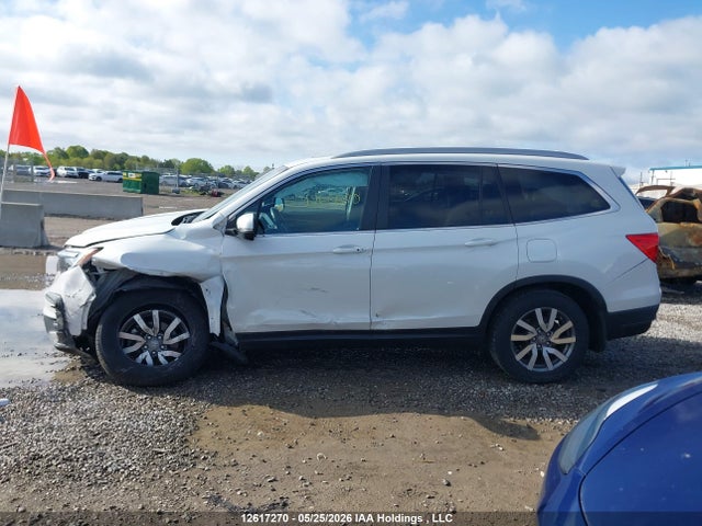 Продаж на аукціоні авто 2021 Honda Pilot Ex-l Navi, vin: 5FNYF6H74MB503057, номер лоту: 12617270