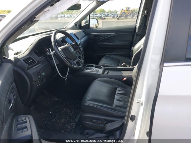Продаж на аукціоні авто 2021 Honda Pilot Ex-l Navi, vin: 5FNYF6H74MB503057, номер лоту: 12617270