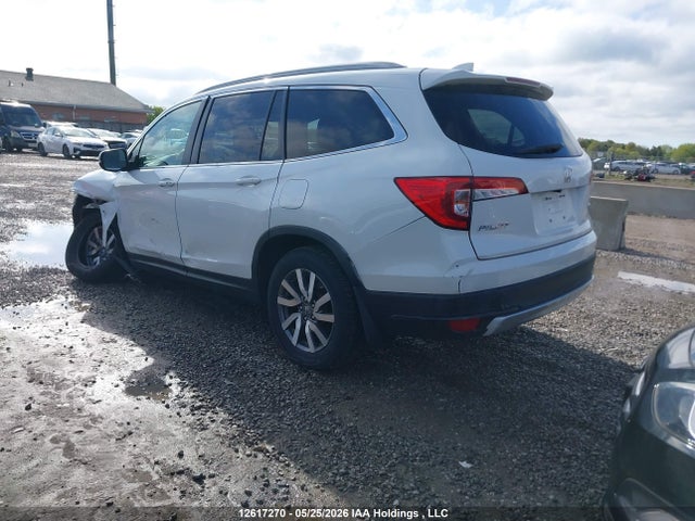 Продаж на аукціоні авто 2021 Honda Pilot Ex-l Navi, vin: 5FNYF6H74MB503057, номер лоту: 12617270