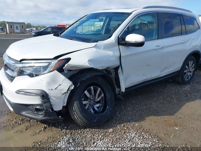 Продаж на аукціоні авто 2021 Honda Pilot Ex-l Navi, vin: 5FNYF6H74MB503057, номер лоту: 12617270