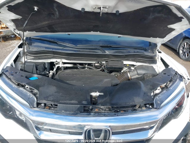 Продаж на аукціоні авто 2021 Honda Pilot Ex-l Navi, vin: 5FNYF6H74MB503057, номер лоту: 12617270