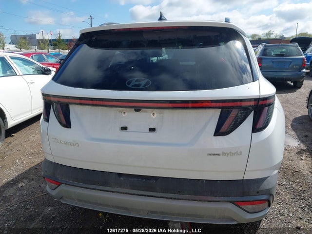 2025 Hyundai Tucson Hybrid მანქანა იყიდება აუქციონზე, vin: KM8JCDD16SU254583, აუქციონის ნომერი: 12617275