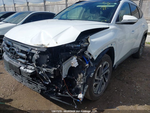 2025 Hyundai Tucson Hybrid მანქანა იყიდება აუქციონზე, vin: KM8JCDD16SU254583, აუქციონის ნომერი: 12617275