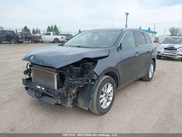Продаж на аукціоні авто 2020 Kia Sorento L/lx, vin: 5XYPGDA3XLG687996, номер лоту: 12617316