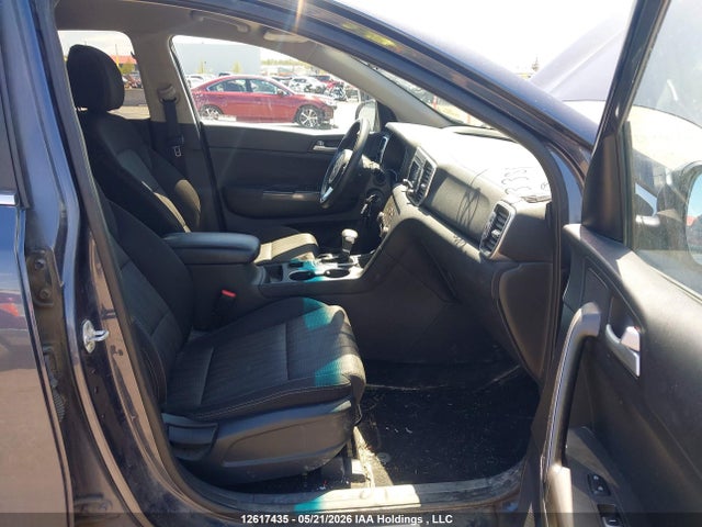 Продаж на аукціоні авто 2019 Kia Sportage Lx, vin: KNDPMCAC7K7513351, номер лоту: 12617435
