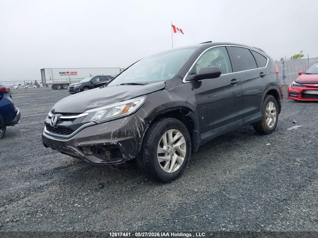 12617441 :رقم المزاد ، 2HKRM4H52GH123606 vin ، 2016 Honda Cr-v Ex مزاد بيع