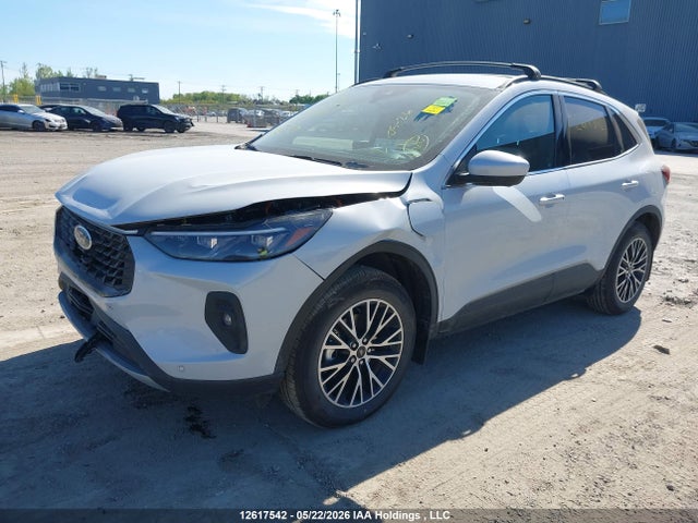 Auction sale of the 2025 Ford Escape Phev, vin: 1FMCU0E19SUB64809, lot number: 12617542