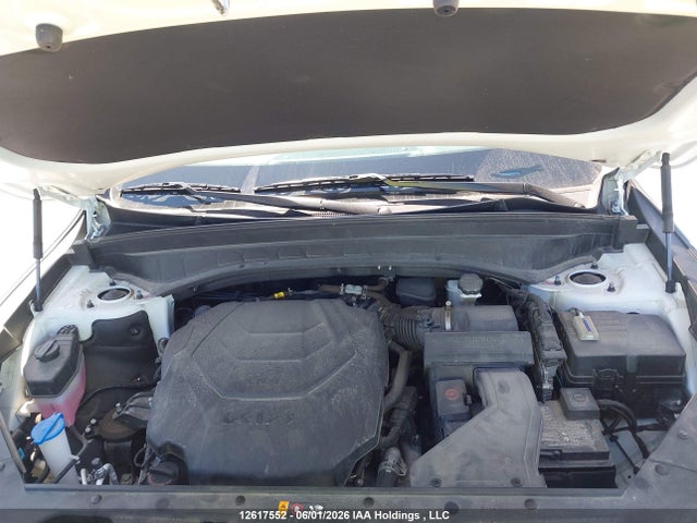 Aukcja sprzedaży 2024 Kia Telluride Ex, vin: 5XYP3DGC7RG559856, numer aukcji: 12617552