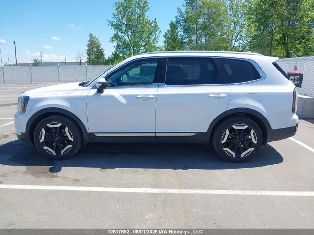 Aukcja sprzedaży 2024 Kia Telluride Ex, vin: 5XYP3DGC7RG559856, numer aukcji: 12617552