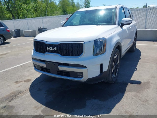 Aukcja sprzedaży 2024 Kia Telluride Ex, vin: 5XYP3DGC7RG559856, numer aukcji: 12617552
