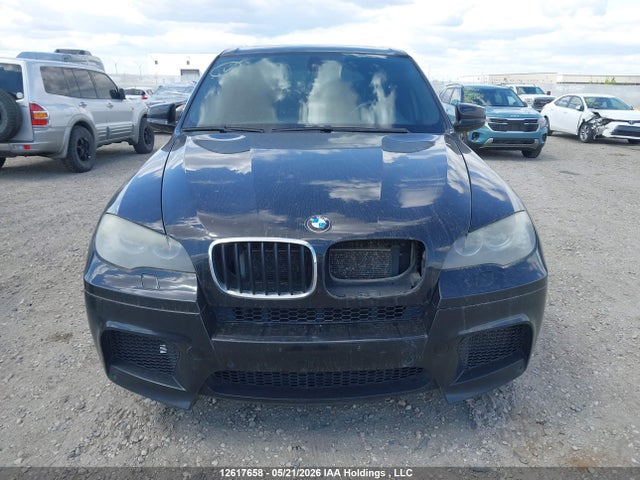 Продаж на аукціоні авто 2010 Bmw X5 M, vin: 5YMGY0C56ALK25075, номер лоту: 12617658