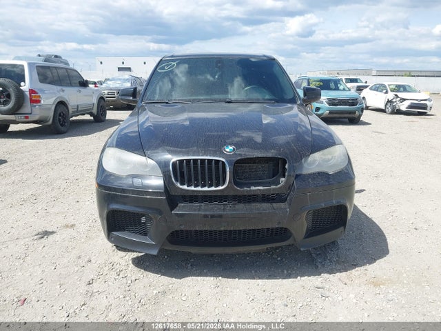 Продаж на аукціоні авто 2010 Bmw X5 M, vin: 5YMGY0C56ALK25075, номер лоту: 12617658