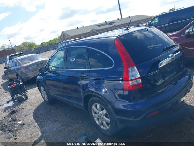 2007 Honda Cr-v Ex მანქანა იყიდება აუქციონზე, vin: 5J6RE48517L801958, აუქციონის ნომერი: 12617735