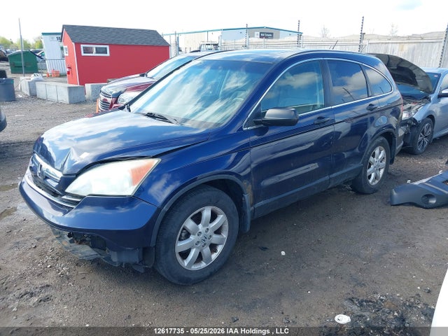 2007 Honda Cr-v Ex მანქანა იყიდება აუქციონზე, vin: 5J6RE48517L801958, აუქციონის ნომერი: 12617735