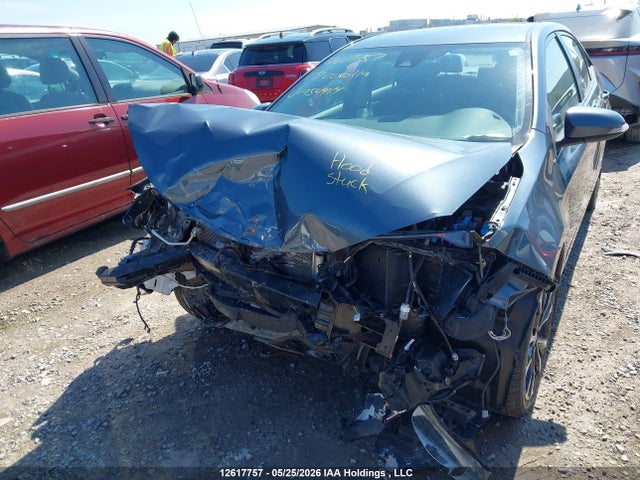 2T1BURHE2HC954414 Toyota Corolla L/le/xle/se/xse