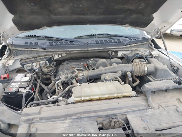 1FTEW1EB5KFD47439 Ford F-150 Xlt