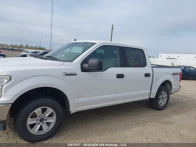 1FTEW1EB5KFD47439 Ford F-150 Xlt