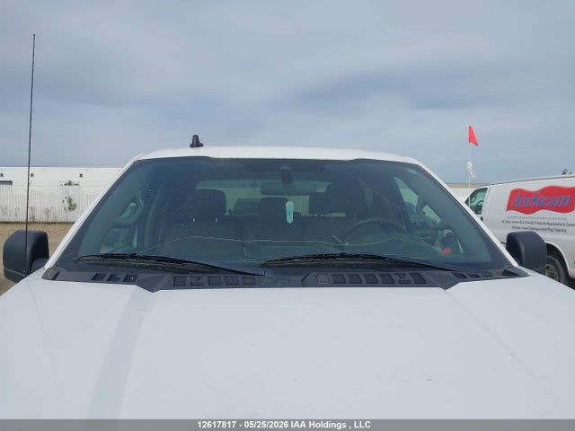 1FTEW1EB5KFD47439 Ford F-150 Xlt