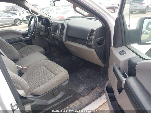 1FTEW1EB5KFD47439 Ford F-150 Xlt