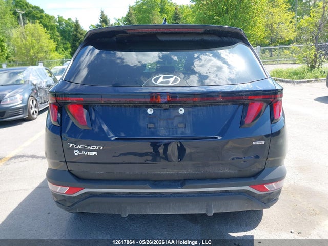 Продаж на аукціоні авто 2023 Hyundai Tucson, vin: KM8JBCAE4PU261835, номер лоту: 12617864