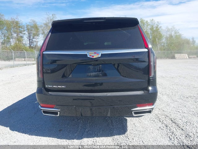 Cadillac Escalade Premium Luxury 2023 1GYS4CKT7PR540225 Image 16