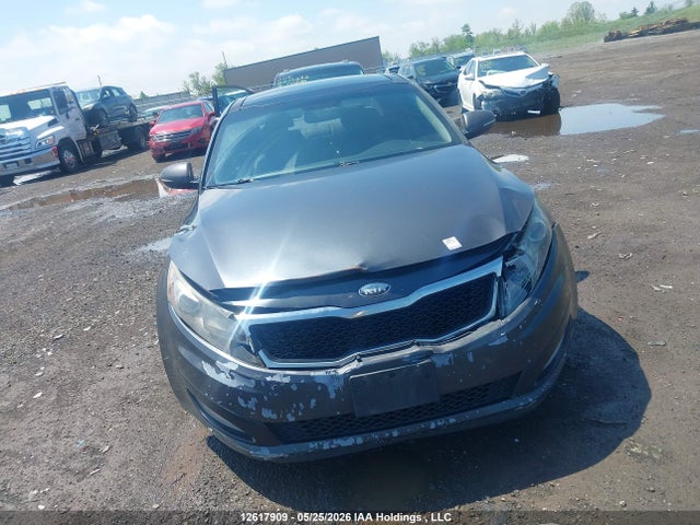 2013 Kia Optima Ex მანქანა იყიდება აუქციონზე, vin: KNAGN4A77D5322093, აუქციონის ნომერი: 12617909