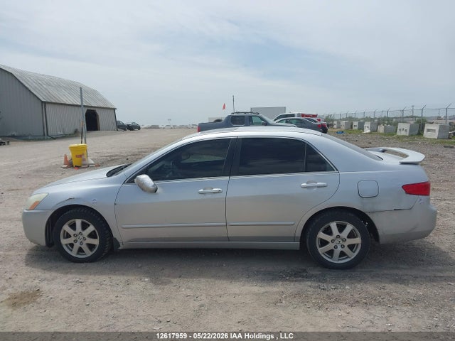 2005 Honda Accord Ex V6 მანქანა იყიდება აუქციონზე, vin: 1HGCM66505A803577, აუქციონის ნომერი: 12617959