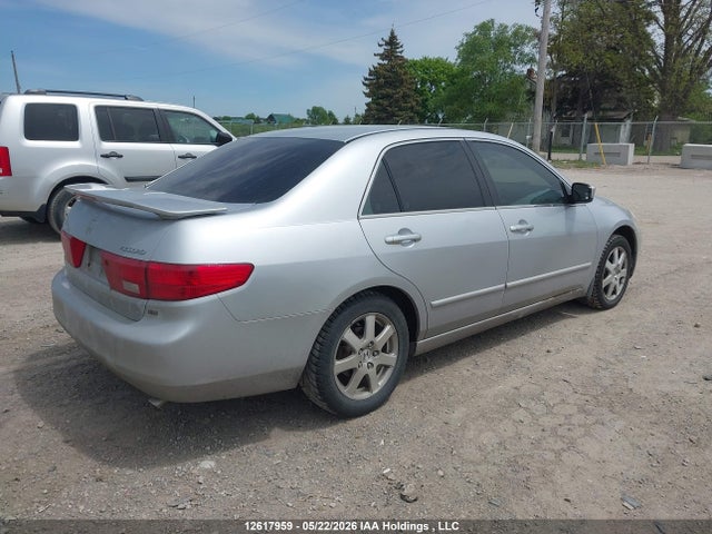 2005 Honda Accord Ex V6 მანქანა იყიდება აუქციონზე, vin: 1HGCM66505A803577, აუქციონის ნომერი: 12617959