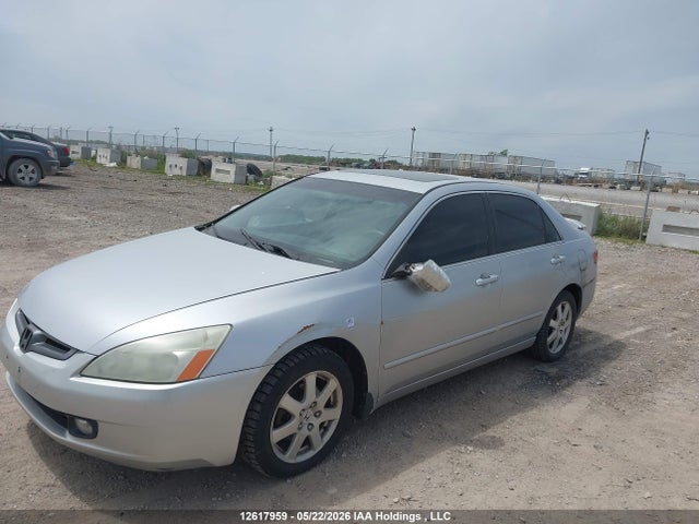 2005 Honda Accord Ex V6 მანქანა იყიდება აუქციონზე, vin: 1HGCM66505A803577, აუქციონის ნომერი: 12617959