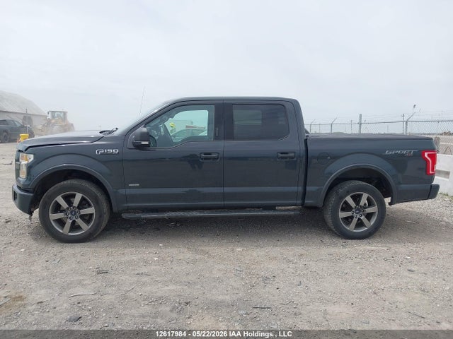 1FTEW1EG6GFC91577 Ford F-150 Xlt